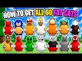 How To Get All 60 Fat Cats in Find the Fat Cats 60 Roblox