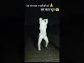 Download Lagu sar kata Bhoot wala video 💀|| Jai shree mahakal 🙏||#mahadev#shortsfeed #mahakal#bholenath#viralshort