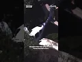 Plane crash in Santa Fe