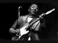 Muddy Waters - Champagne & Reefer
