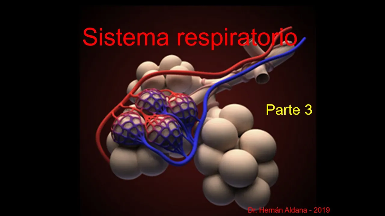 Sistema respiratorio Parte 3 Final.