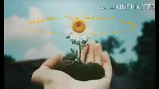 نقطة ضعفي الوحيدة من أجمل أغاني راغب علامة 