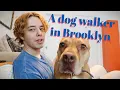 Being a dog walker in one of NYC s nicest neighborhoods