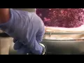 Video di Mia sorella è invisibile! - Trailer Italiano Ufficiale