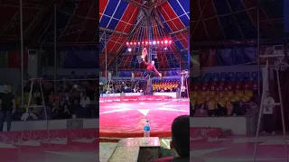 السيرك القومي بالجيزة 7 7 2023 