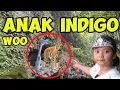 Lagu 🔴VIRAL ANAK INDIGO  CABUT PUSAKA  ARYA KAMANDANU PEDANG NAGA PUSPA