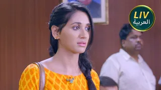 الموسم 21 حلقات كامله لبعضهم البعض لماذا مايا حزينة حتى بعد انتهاء القضية 