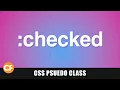 Changing A Site CSS With No JavaScript CSS checked
