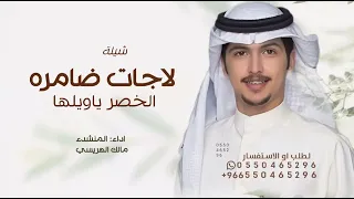 لاجات ضامره الخصر ياويلها   مالك الهريسي       شيلة لاجات ضامره الخصر ياويلها   لطلب الشيلة بالاسماء دندنها