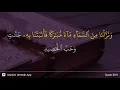 Download Lagu Qaf ayat 9