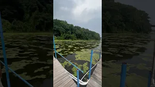 Oak Orchard Yacht club in Carleton NY on our trip around Lake Ontario. Protected Beauty!