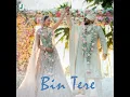 Bin Tere