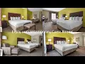 Best Western Plus Chalmette Hotel - 19111