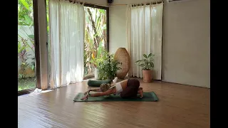 Myofacial Intergrated Alignment with Theresa Schiessl