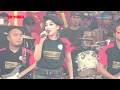 Download Lagu Elsa Safira - Sayang 2 - OM Monata LIVE Kluwut Bulakamba Brebes 2018 \