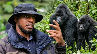 King Oyo's last trip to Bwindi Gorilla Park.