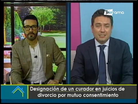 Designación de un curador en juicios de divorcio por mutuo consentimiento