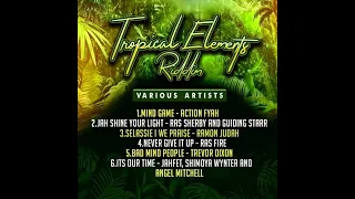 tropical element riddim blass king records reggae full promo nov 2020 djrynhold mix 