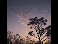 懂事的人