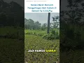 Download Lagu Harga Gabah 2025 minimal 6.500/kg #hargagabah2025 #prabowopresiden