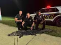 Two Wild Catches One Burglar One Gator