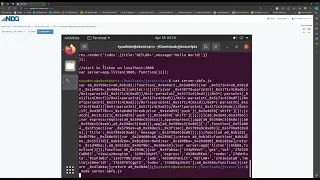 JavaScript Obfuscation Dead Code Injection