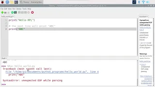13 - Your first Python program