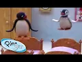 Download Lagu Pingu \u0026 Pinga's Sleepover Fun! | Pingu Official | Cartoons for Kids