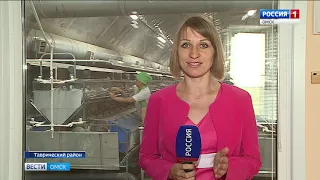На кролиководческой ферме Таврического района наращивают объёмы производства