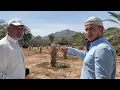 Download Lagu OAZA HURMI - KAKO IZGLEDA KUĆA MILIONERA IZ SAUDIJE ? 172/365