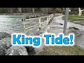 King Tide - Bellingham Washington