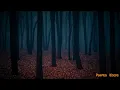Halloween Music - Pumpkin Woods