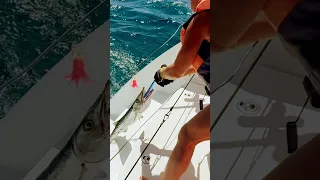 This Didn’t End the Way We Hoped… 🎣💔