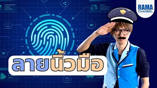  ทำไมลายนิ้วมือถึงไม่ซ้ำกันแม้แต่ในฝาแฝดที่มี DNA เหมือนกัน 