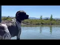 New Bozeman dog parks get tails wagging