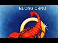 Download Lagu Buongiorno Scorpione ♏ 25/08/25 \