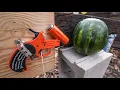 Will A Flare Gun Shoot Shotgun Shells