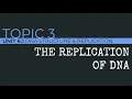 AP Biology DNA Replication