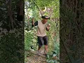 Download Lagu masteran burung kicau burung birds lucu bikin ngakak hiburan warga +62 funny videos