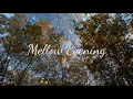 AK - Mellow Evening