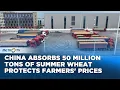 Download Lagu China,s Strategic Move Securing Food Reserves Through Wheat Procurement