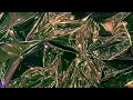 Chaleur Pt. 2 – Extended Version | Sames
