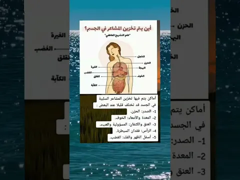 اين يتم تخزين المشاعر