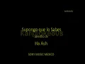 Supongo que lo Sabes - Ha Ash // karaoke