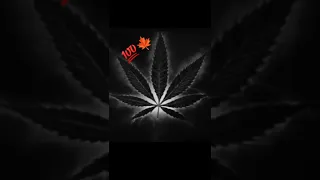 اجمل اغنية واسأل علينا احنا بوادي دندنها