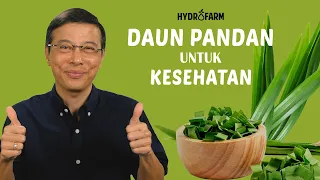 Download DAUN PANDAN UNTUK KESEHATAN TUBUH MP3