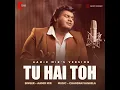 Tu Hai Toh (Aamir Mir Version)