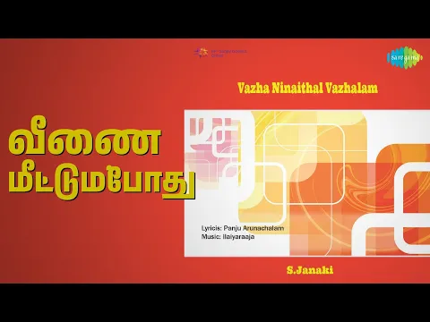 Veenai Meettum - YouTube