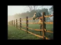 Fence Cercas Vallas de Madera