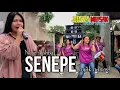 Download Lagu SENEPE LAGU SASAK TERBARU NOFIE ALISHBA DISYA MUSIK